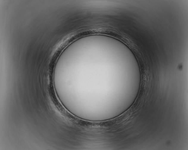 X0000116460734200912090927