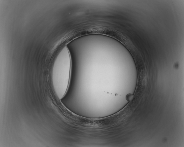 X0000116460735200912090927