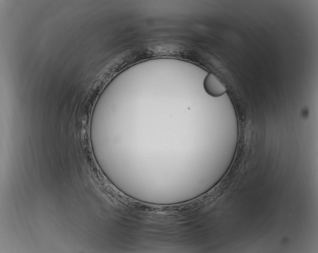 X0000116460737200912090927