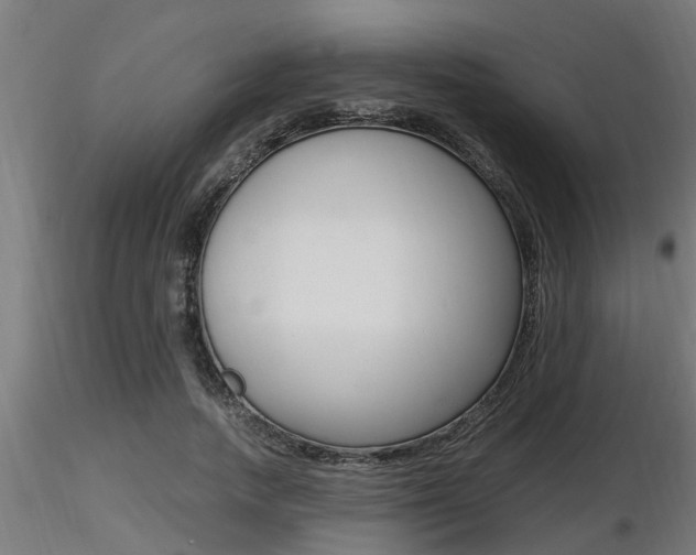X0000116460738200912090927