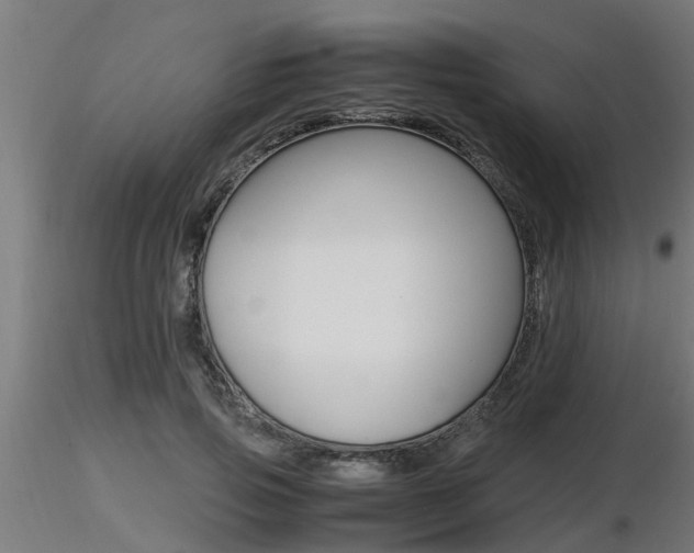 X0000116460741200912090927