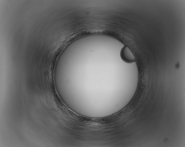 X0000116460743200912090927