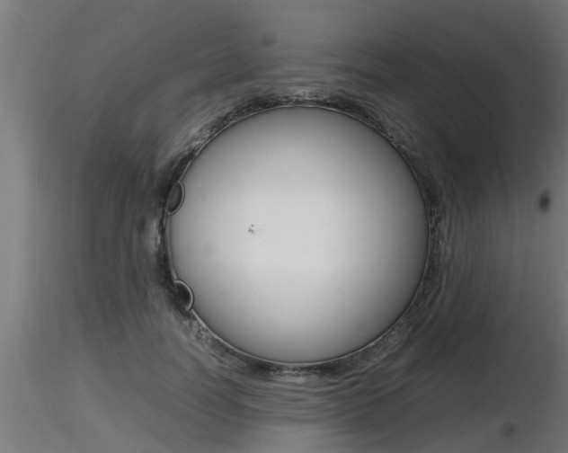 X0000116460746200912090927