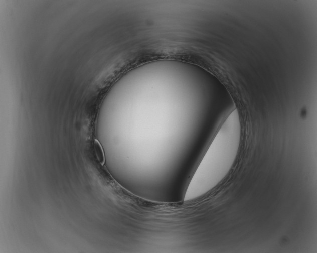 X0000116460750200912090927
