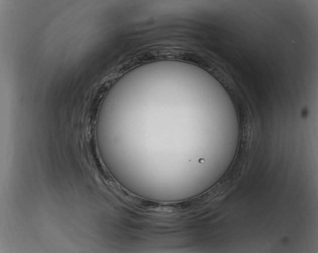 X0000116460751200912090927