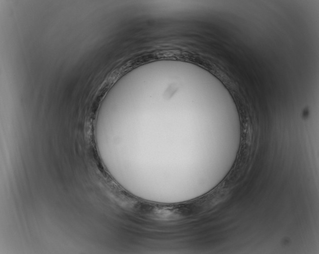 X0000116460753200912090927