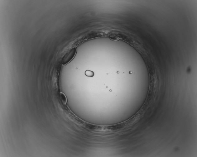 X0000116460754200912090927