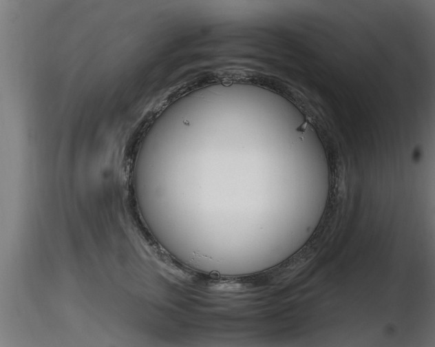 X0000116460759200912090927