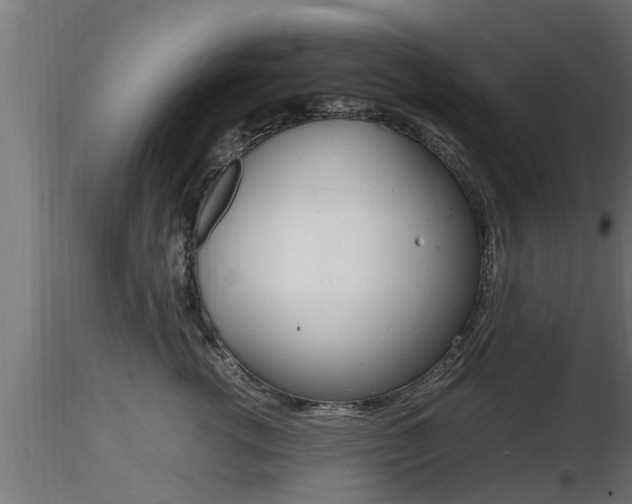 X0000116460762200912090927