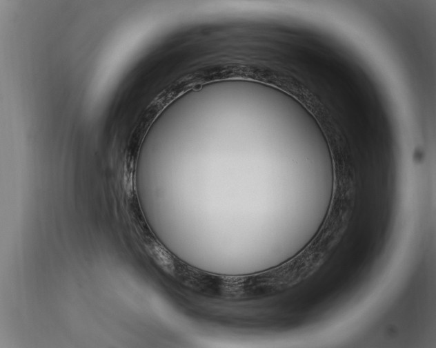 X0000116460766200912090927