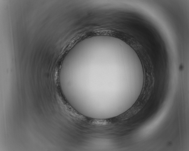 X0000116460767200912090927