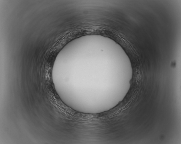 X0000116460770200912090926