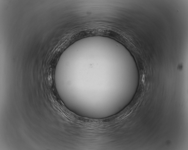 X0000116460771200912090926