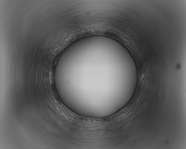 X0000116460772200912090926