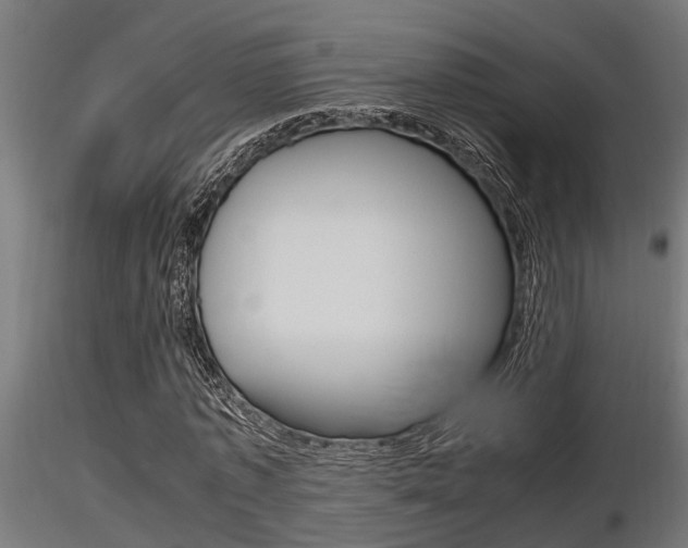 X0000116460773200912090926