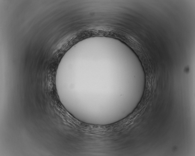 X0000116460774200912090926