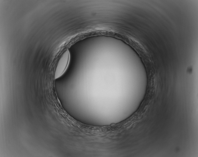 X0000116460776200912090926