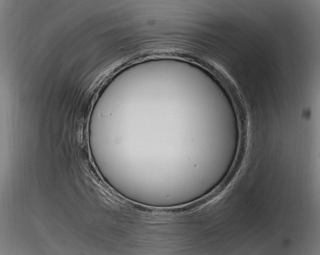 X0000116460777200912090926