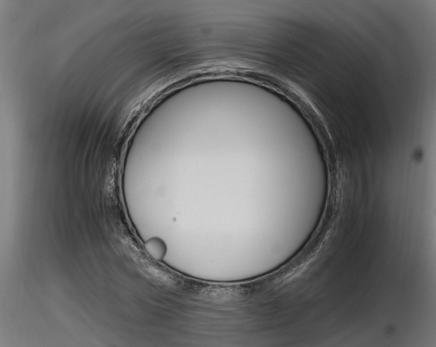 X0000116460778200912090926