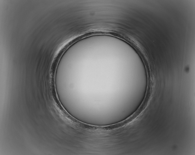 X0000116460779200912090926