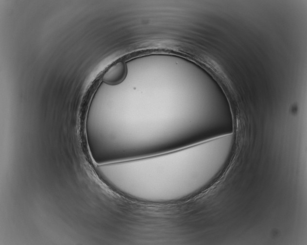 X0000116460780200912090926