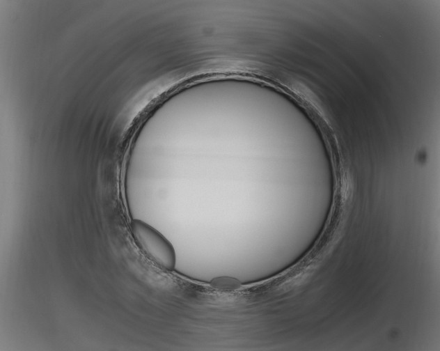 X0000116460781200912090926