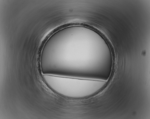 X0000116460783200912090926