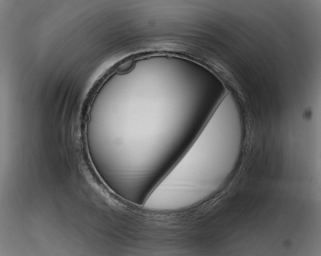 X0000116460784200912090926