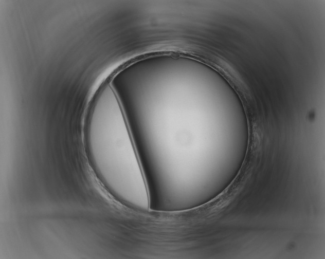 X0000116460788200912090926