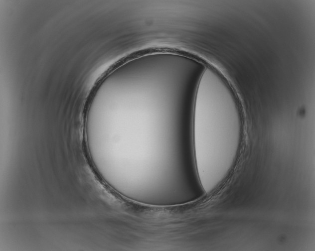 X0000116460791200912090926