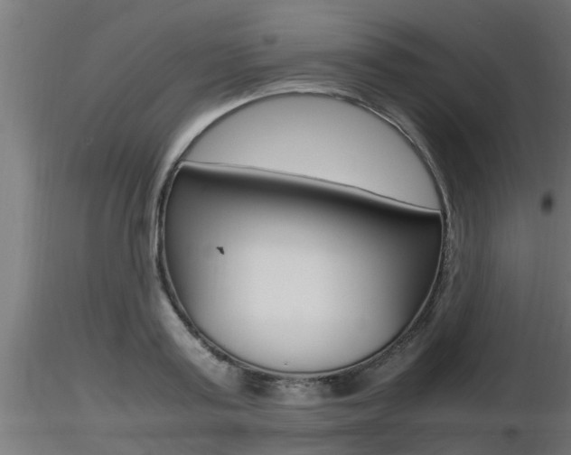 X0000116460795200912090926