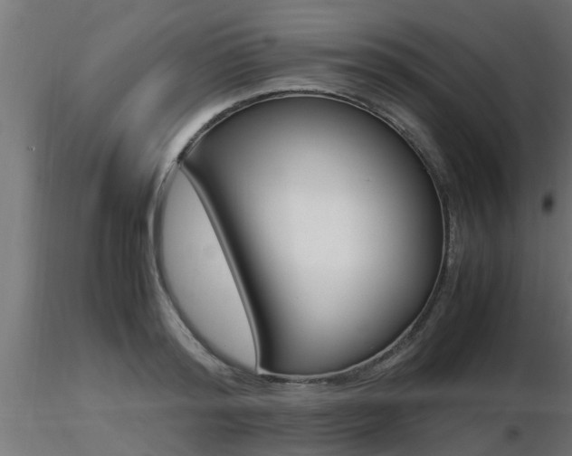 X0000116460796200912090926