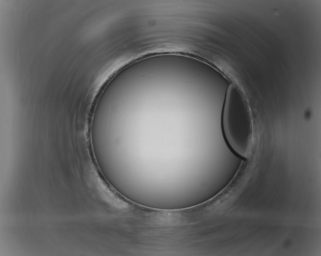 X0000116460797200912090926