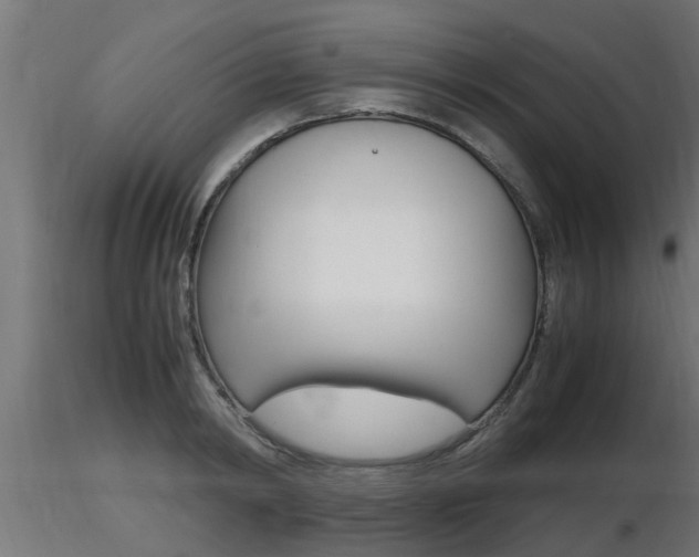 X0000116460798200912090926