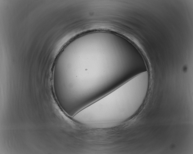 X0000116460799200912090926