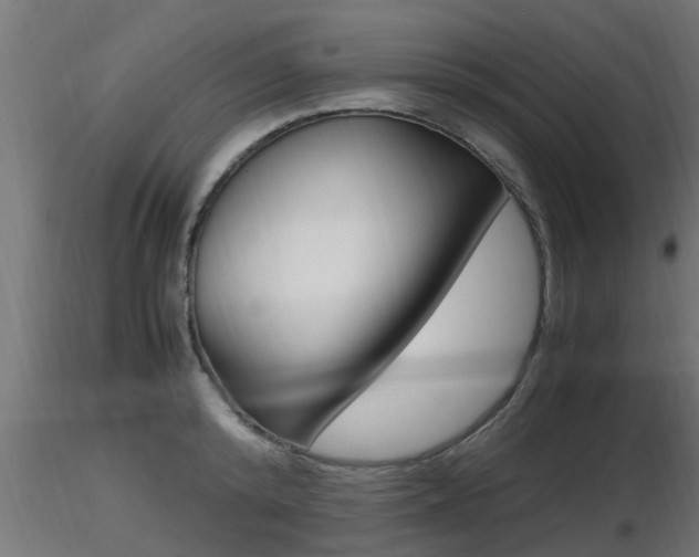 X0000116460800200912090926