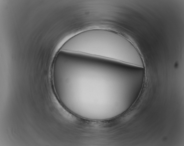 X0000116460803200912090926