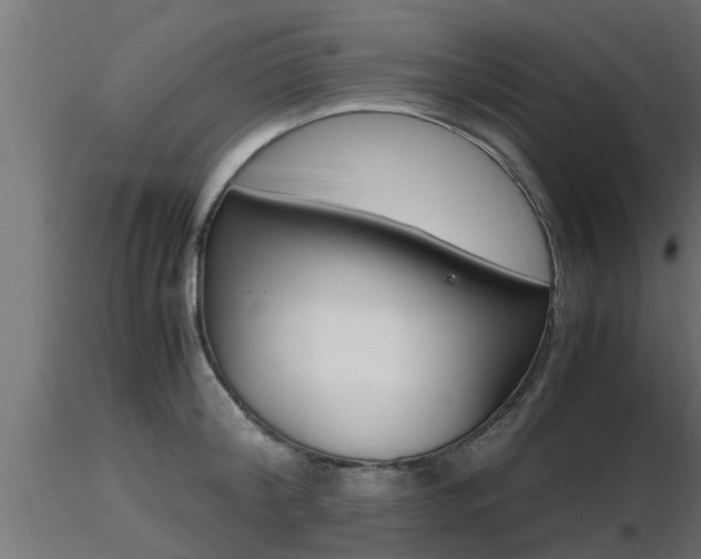 X0000116460804200912090926