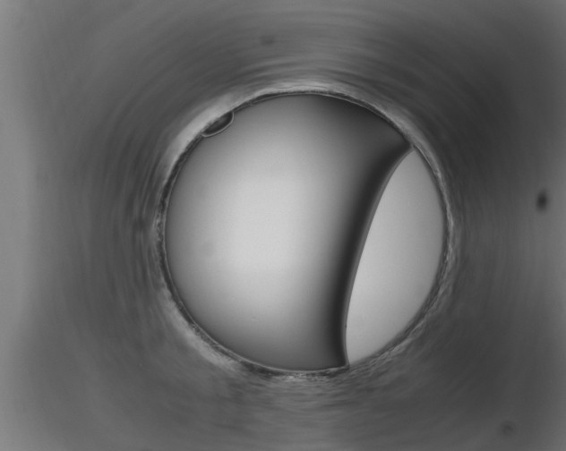 X0000116460805200912090926