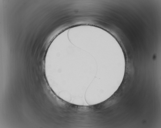 X0000116460807200912090926