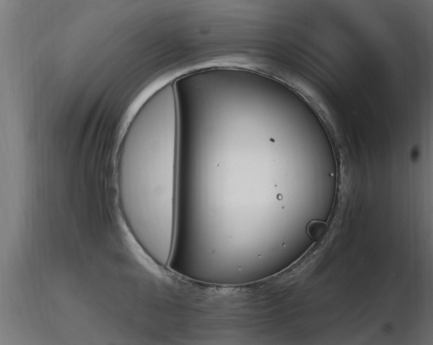 X0000116460808200912090926