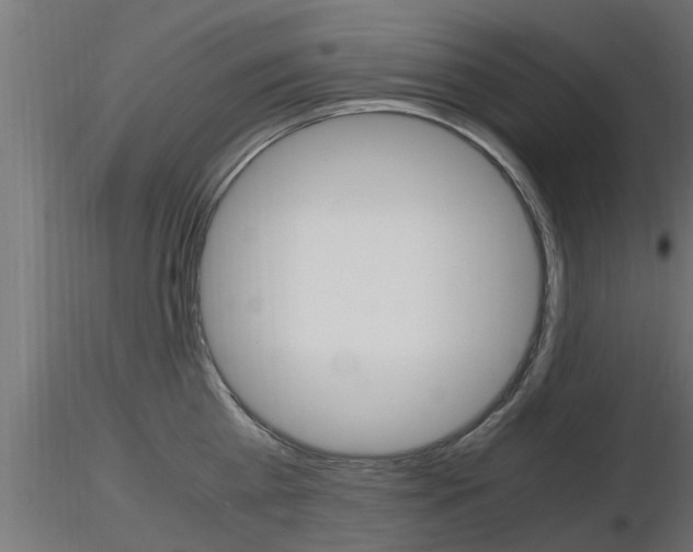 X0000116460809200912090926