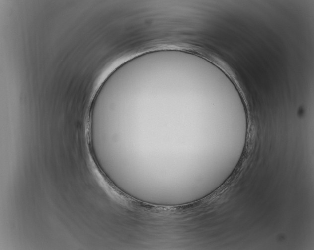 X0000116460811200912090926