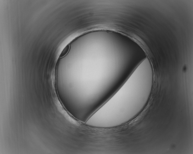 X0000116460812200912090926