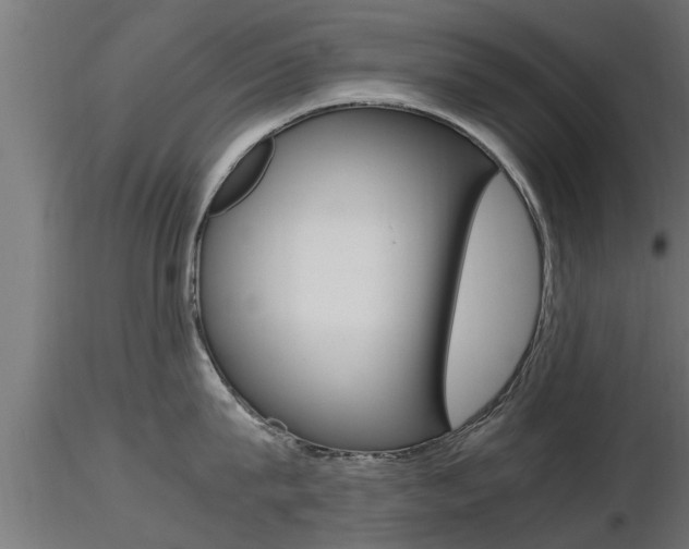 X0000116460815200912090926