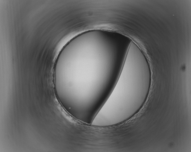 X0000116460816200912090926