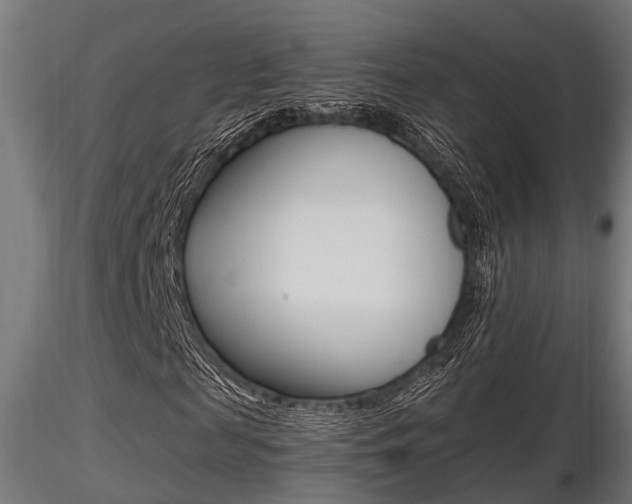 X0000116460817200912090925