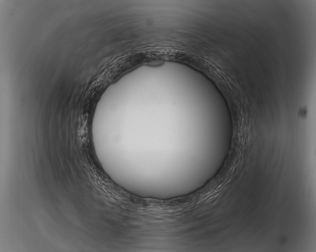 X0000116460818200912090925