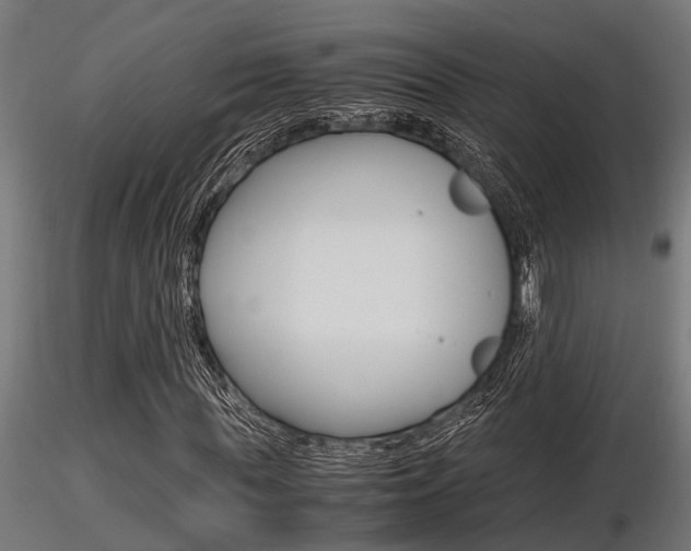 X0000116460819200912090925