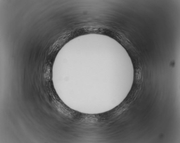X0000116460820200912090925